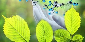 Ayurvedic Drugs Research and Development Consultancy Services