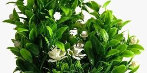 Artificial Plant Bonsai With White Flowers & Leaves in Wooden Style Pot