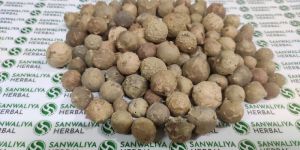 Majuphal / Mayaphala