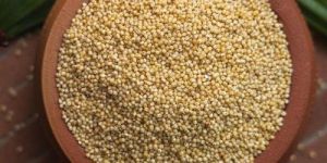 Browntop Millet