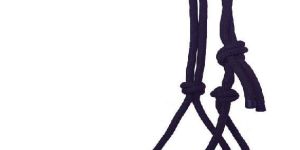 RHL-001 Horse Halter