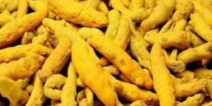 Turmeric Finger