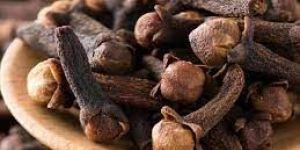 Clove