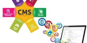 CMS Website Development Service