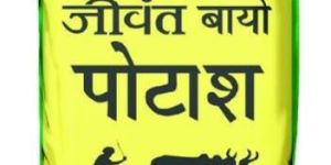 Bio Potash - Potassium Mobilizing Bacteria