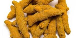 Dried Turmeric