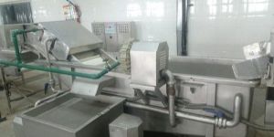 Tomato Ketchup Plant