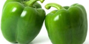 Fresh Capsicum