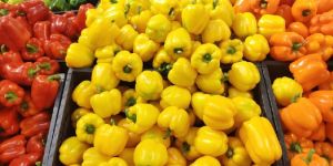 Fresh Yellow Capsicum
