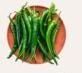 Green Chilli