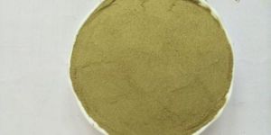 Coriander Leaf Powder