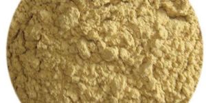 Ginger Powder