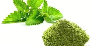 Mint Leaf Powder