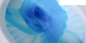 Toilet Cleaner