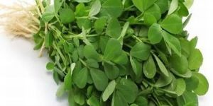Kashthuri Maithi Leaves