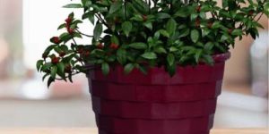 Brick Plastic Planter