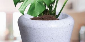 Roto Orbit Plastic Gamla