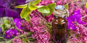 Clary Sage Essential Oil