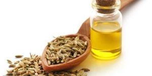 Fennel Essential Oil