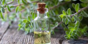 Marjoram Essential Oil