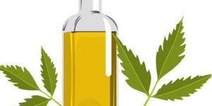 Neem Essential Oil