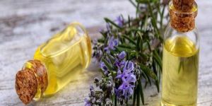 Rosemary Essential Oil