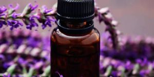 Sage Essential Oil
