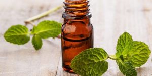 Spearmint Essential Oil