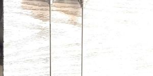 Karl Storz Endoscope