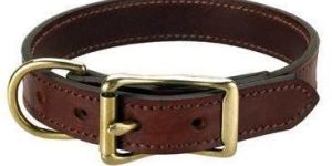 Leather Dog Collar Belt