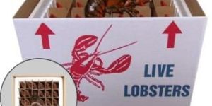 Sea Food Packaging Boxes