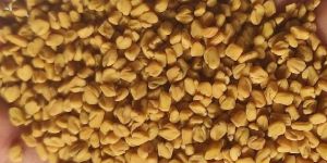 Fenugreek Seeds