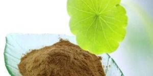 Centella Asiatica Powder