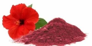Hibiscus Flower Powder