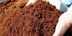 Organic Vermicompost Powder
