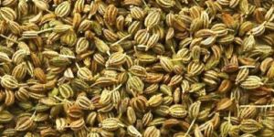 Ajwain Seed