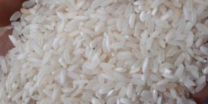 Swarna Masoori Non Basmati Rice