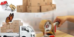 Household Shifting Packer & Mover Services