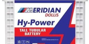 EM 1200 Meridian Tubular Battery