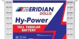 EM 2250 Meridian Tubular Battery