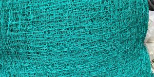 Bird Net