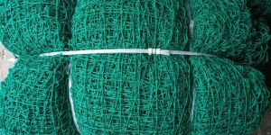 Cricket Net
