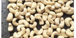 W450 Cashew Kernels