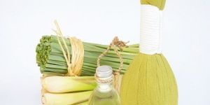 Pure Java Citronella Oil