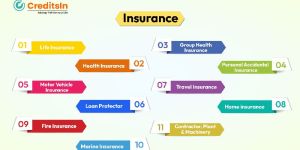 Orchid Management Solutions