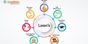 Loans