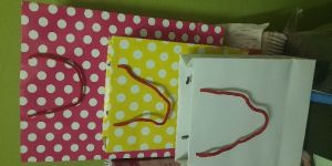 All Type Paper Product Pouches Carry Bags Printed Non Painted