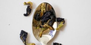 Butterfly Blue Pea Tea