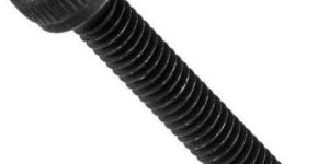 Allen Bolt