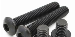 Socket Botton Head Cap Screw